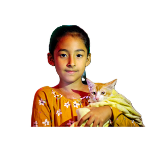 A Young Girl In Dhaka Holding A Kitten Wrapped In A Towel, Illuminated By Colorful Festive Lights. 14117 - Cat PNG image with transparent background